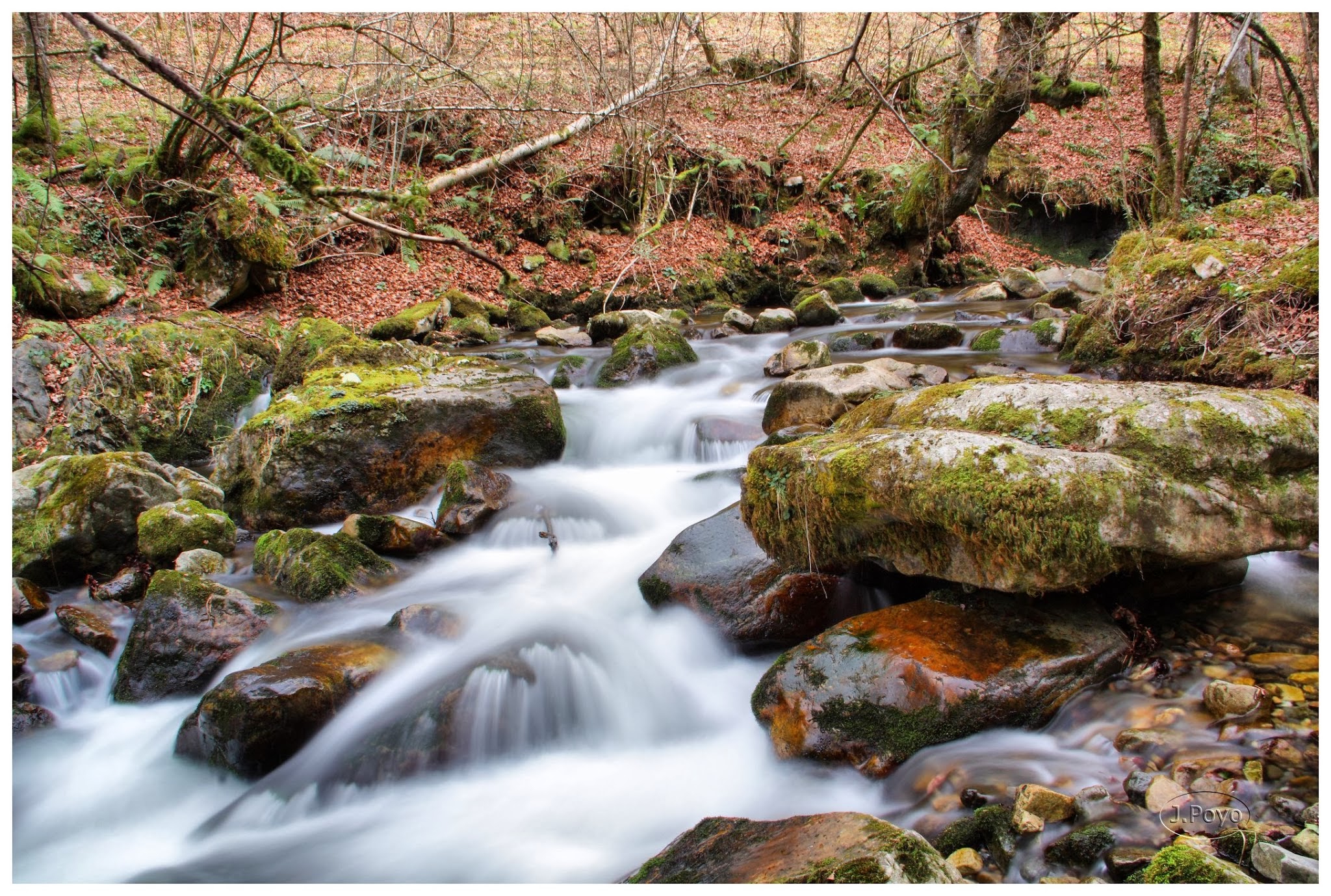 Rio Alba, Asturias