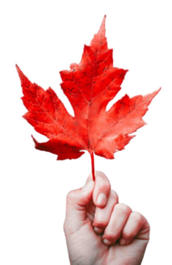 Canada Leaf PNG Images with Transparent Background