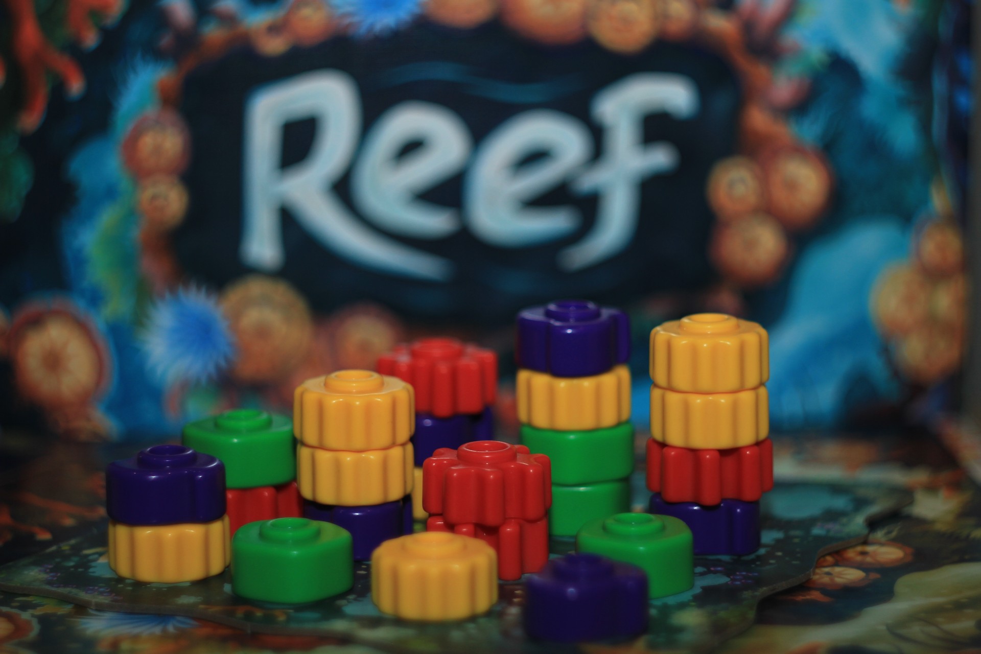 Reef - recenzja gry