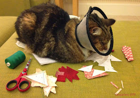 Cat wearing Elizabethan Collar, helping with patchwork