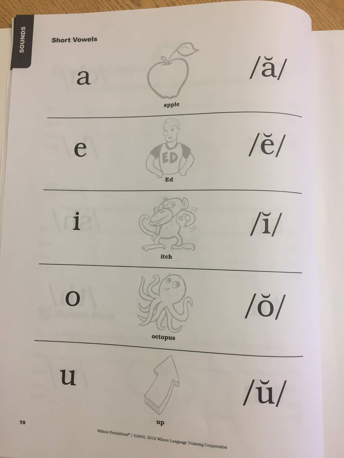 Mrs.Sullivan's First/Second Grade Humanities: 1st Grade Resources