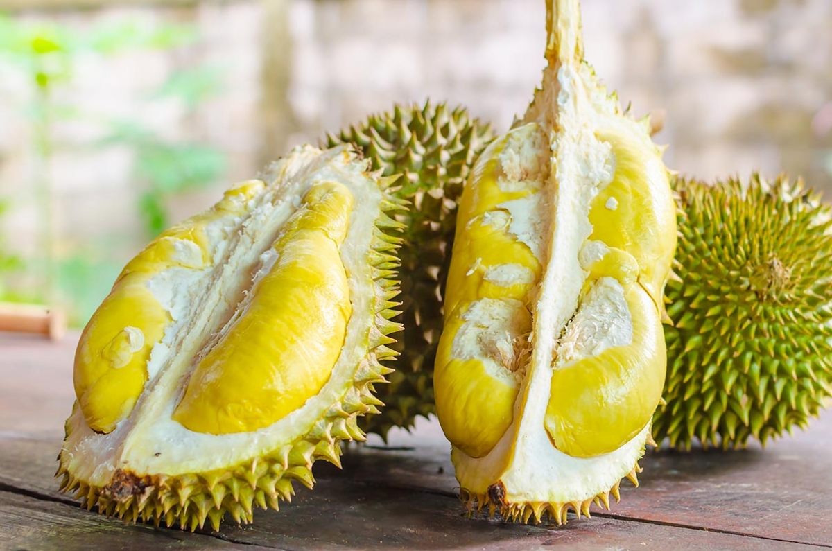 Spiky Yellow Fruit In 2020 For You Children's Books, Kids Books