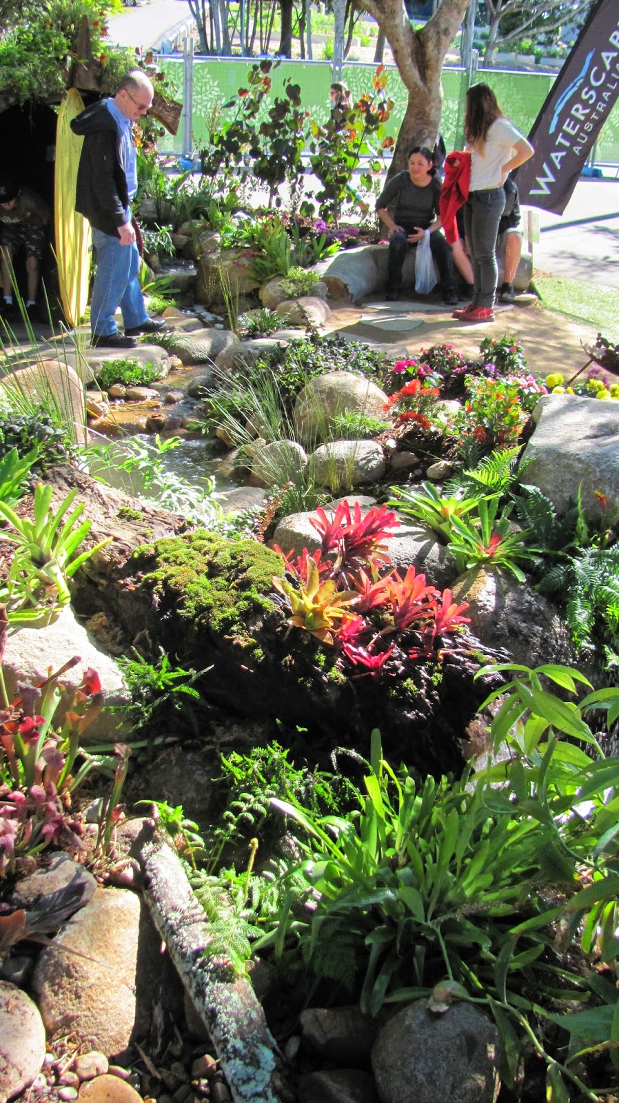 My Veggie Garden Queensland Garden Expo