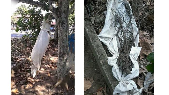 78+ Gambar Pocong Lompat Paling Keren 78+ Gambar Pocong Lompat Paling Keren