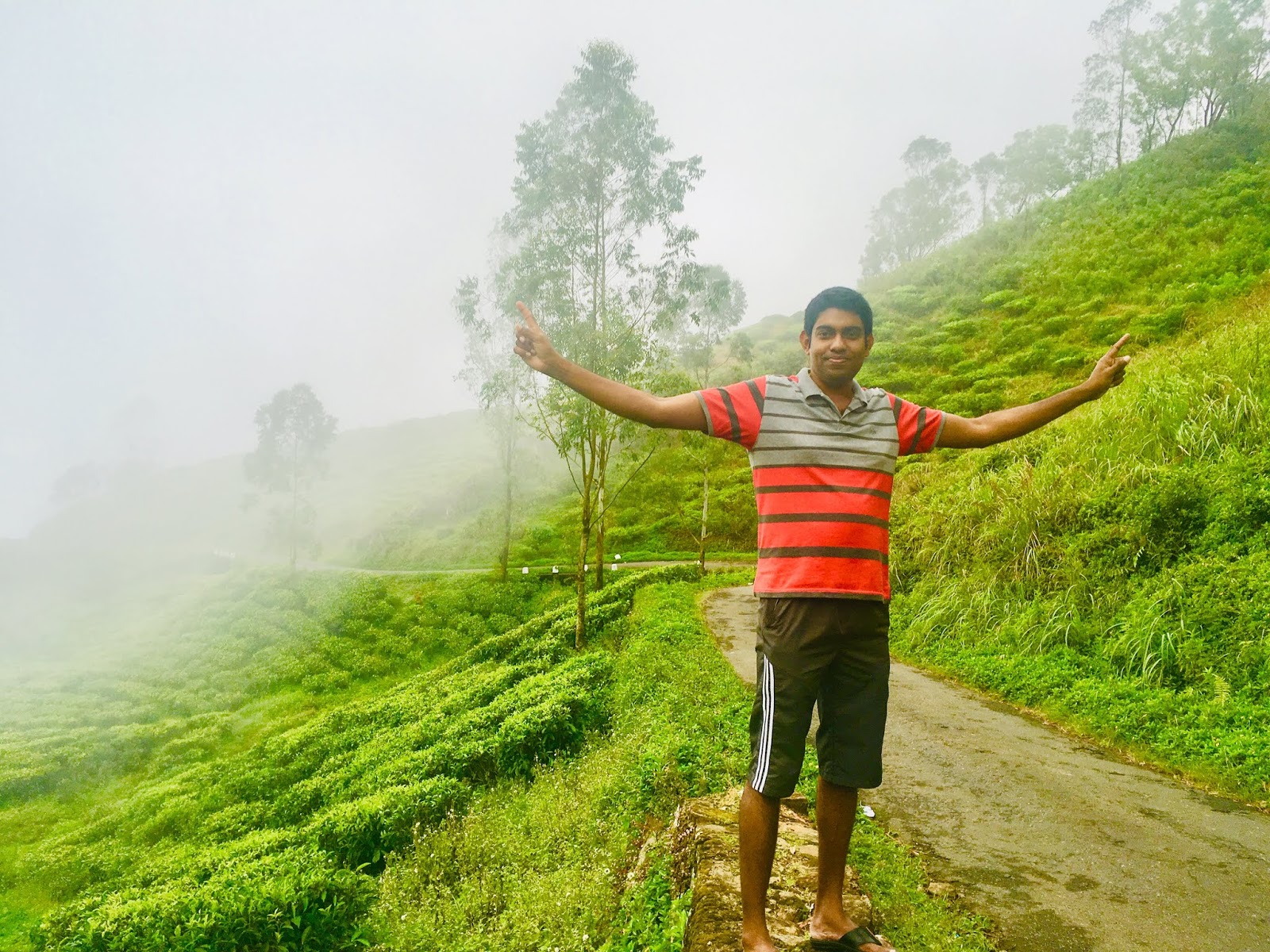  My World February 2019