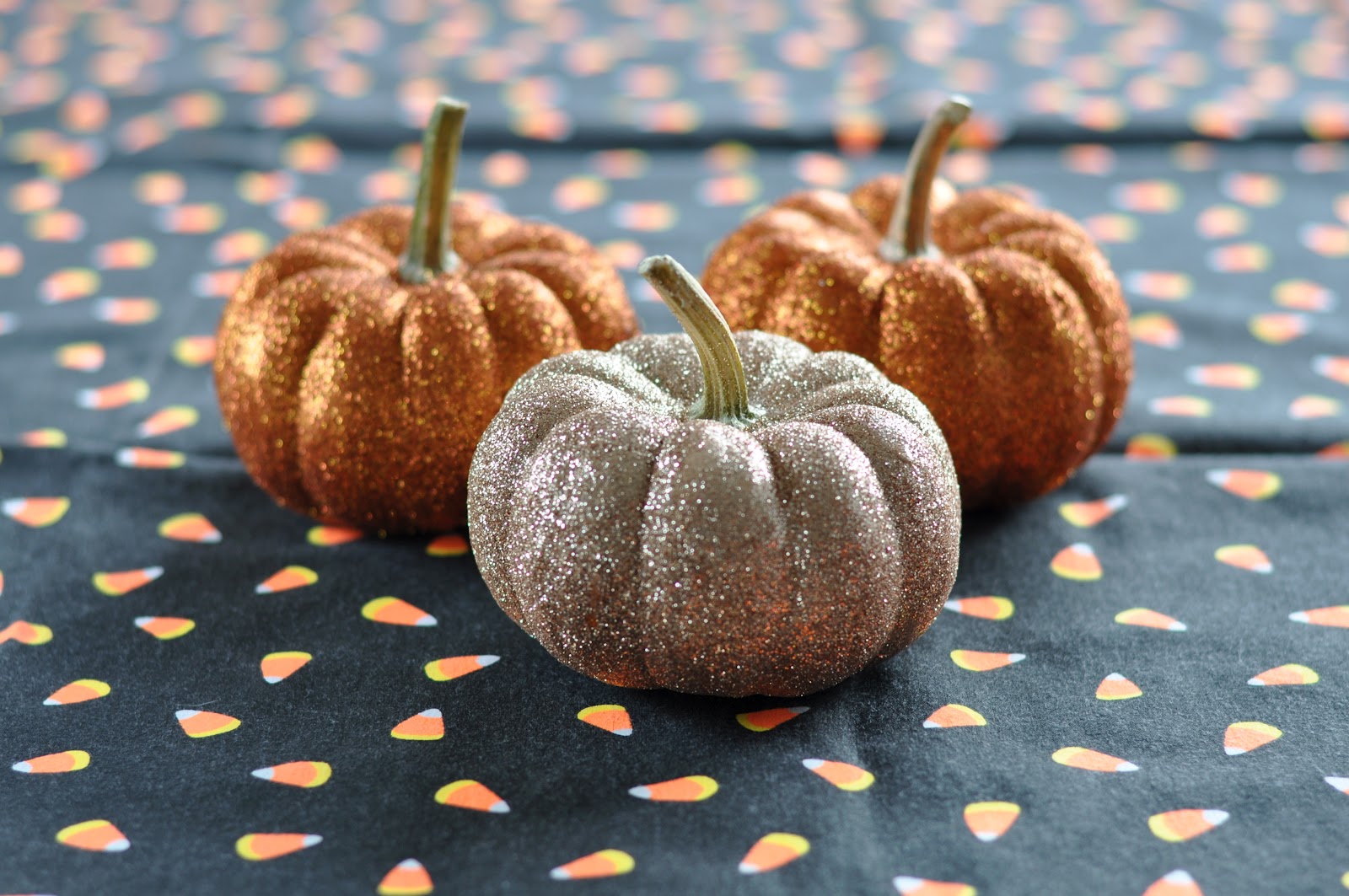 picking wild mountain berries DIY Glitter pumpkins