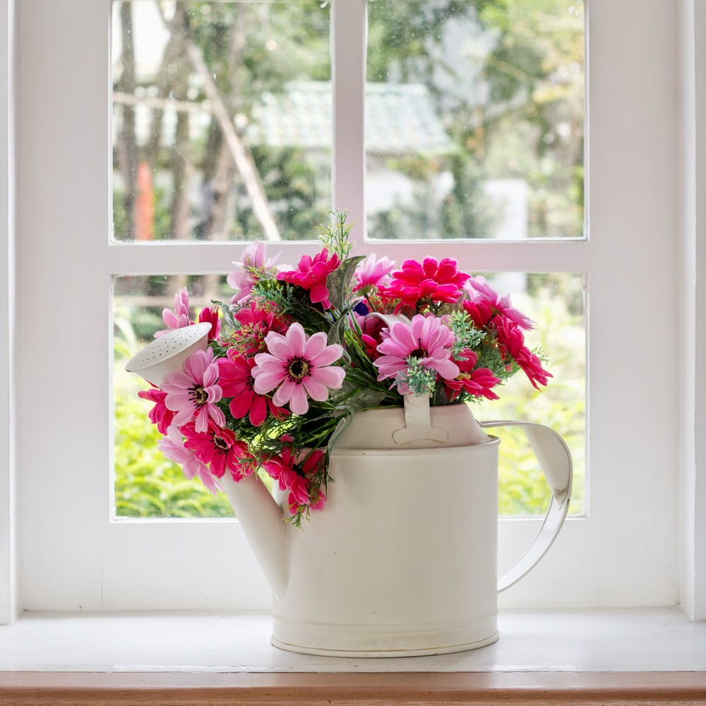 colourful flowers 