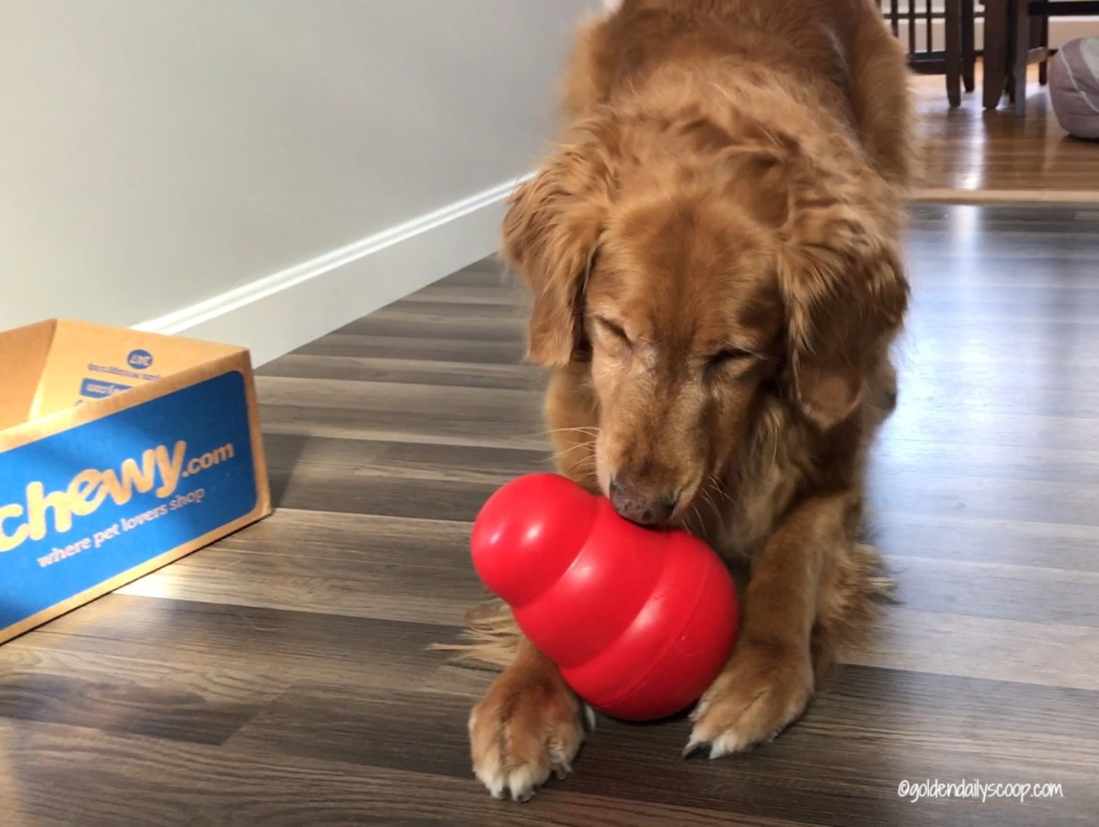 Kong Wobbler Review: Interactive Dog Toy & Food Dispenser - Puppy