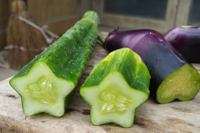 как выращивать овощи необычной формы,