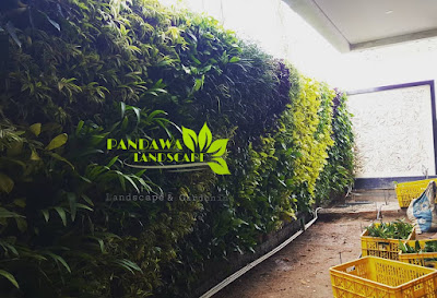 harga vertical garden jakarta