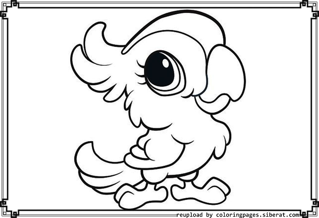 Baby Animals Coloring Pages 2 Coloring Pages