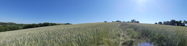 Entre le hameau de La Rive et le village de Teillet on passe à travers champs.