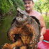 Pescador se surpreende ao fisgar tartaruga-aligátor de 45 kg em lago