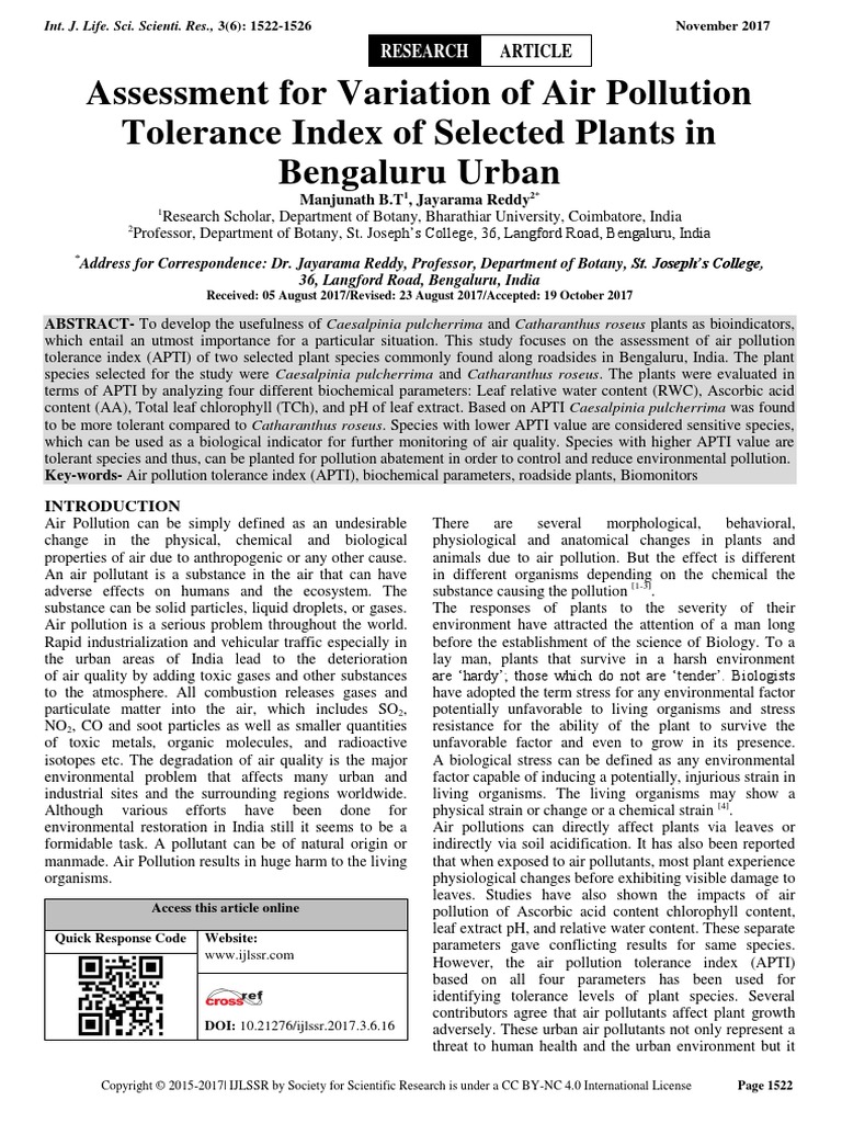 Free examples of personal essay picture