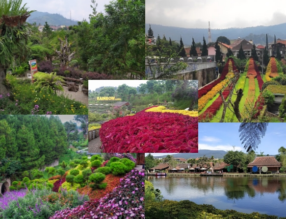 Rainbow garden lembang_tempat wisata di bandung hits dan instagramable