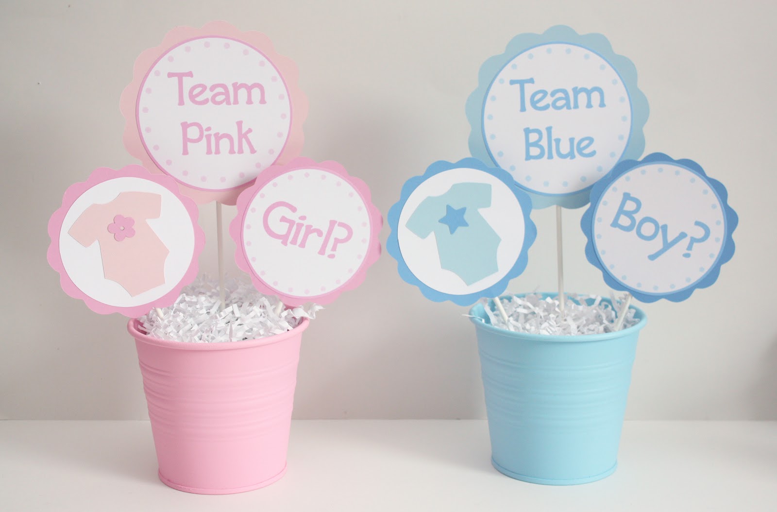 5M Creations Gender Reveal Party Decorations
