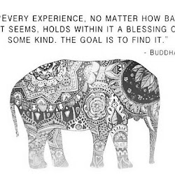 Neome Doodle Art Lucky Elephant