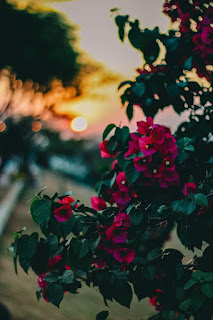 New CB Background HD Photo For Picsart Editing Download Zip -- new hd cb background pic New CB Background HD Photo For Picsart Editing Download Zip -- new hd cb background pic