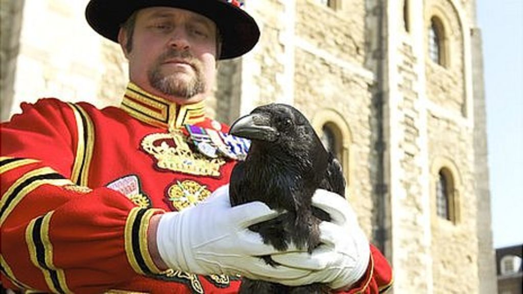 Six ravens. Бифитеры и вороны Тауэра. Лондонский Тауэр вороны. Tower of London Beefeaters Ravens. Tower of London вороны.