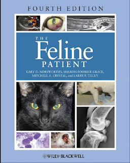 The Feline Patient 4th Edition