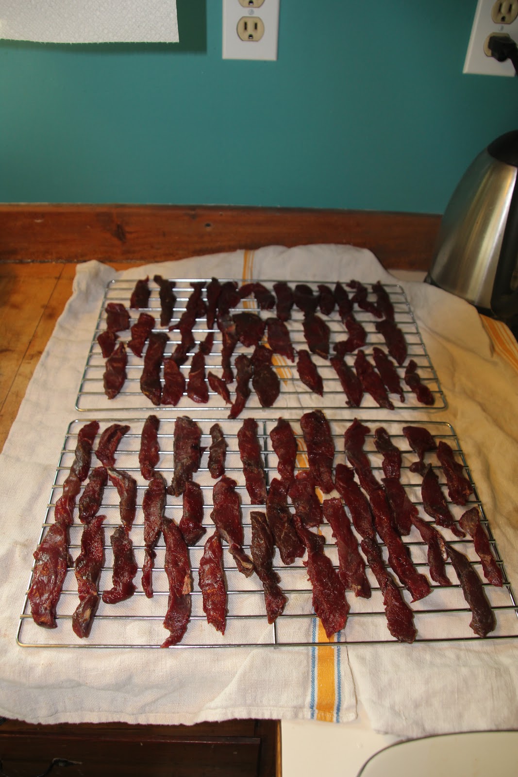 RDub Outdoors First Duck Jerky Ever