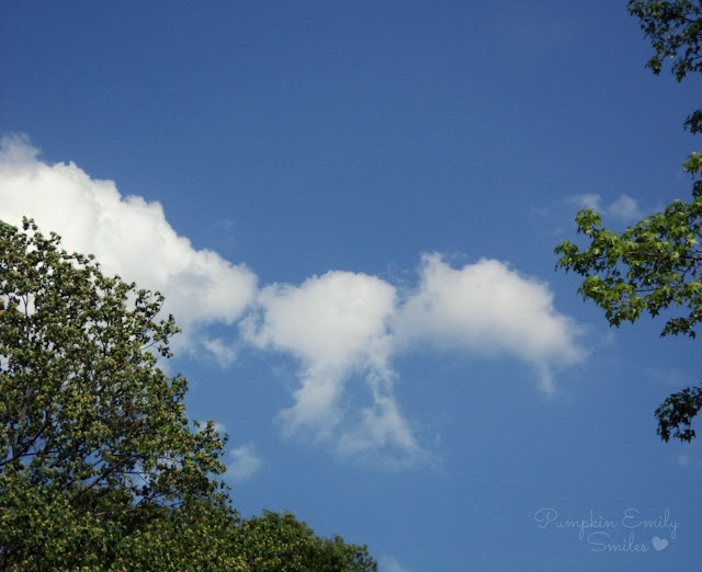 Clouds that look like a beetle, ant, or a skunk
