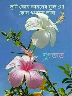 good morning bengali