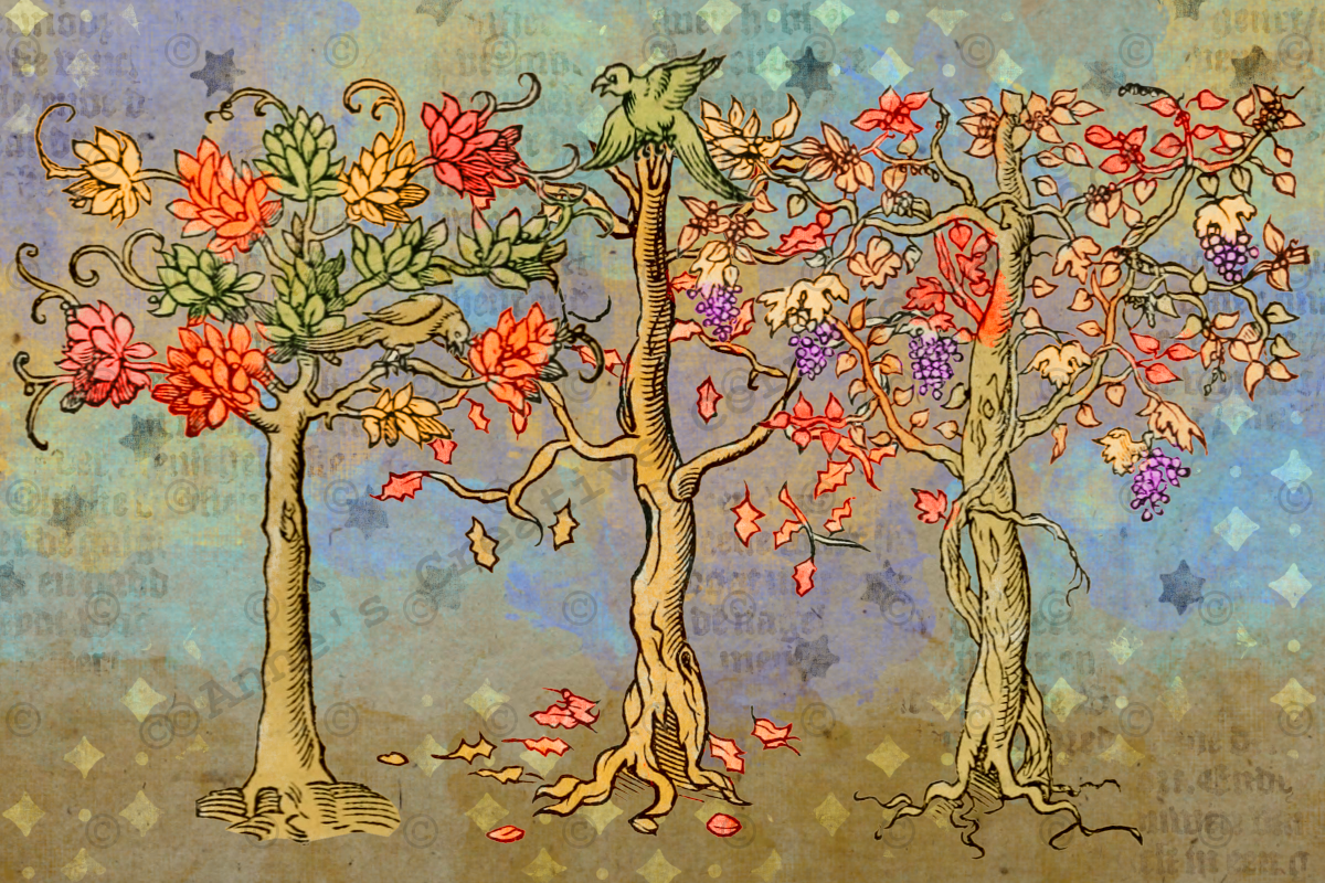 Anne's Creative Cornucopia "Autumn Trees" Postcard
