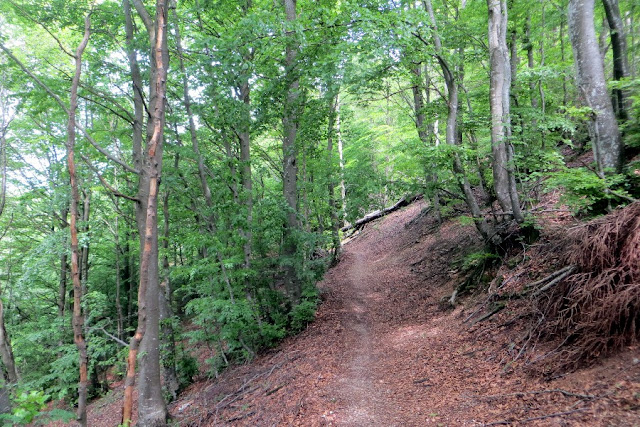 bivacco dei loff da passo san boldo