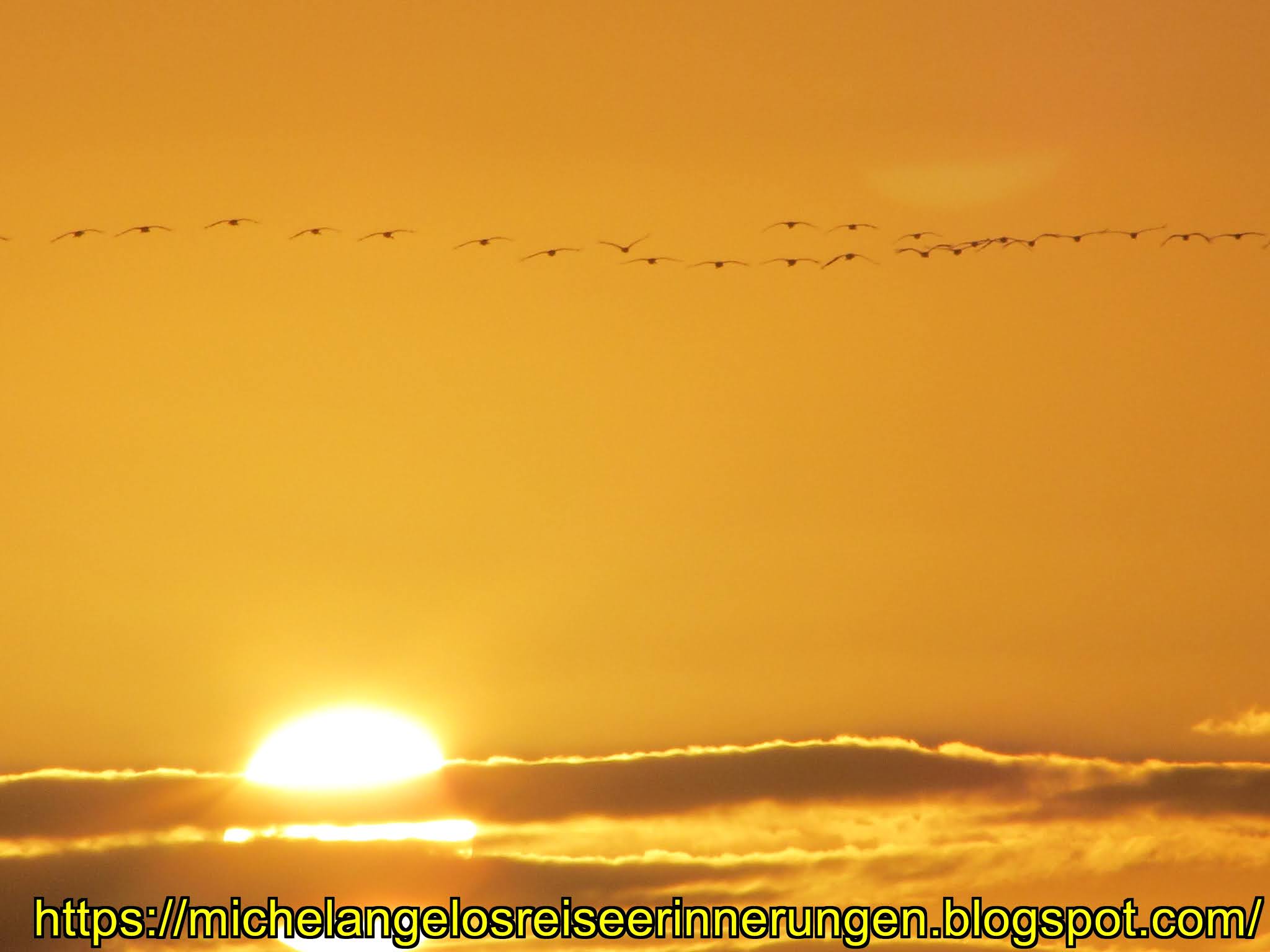 Michelangelos Reiseerinnerungen Kranichbeobachtungsfahrt Auf Rugen