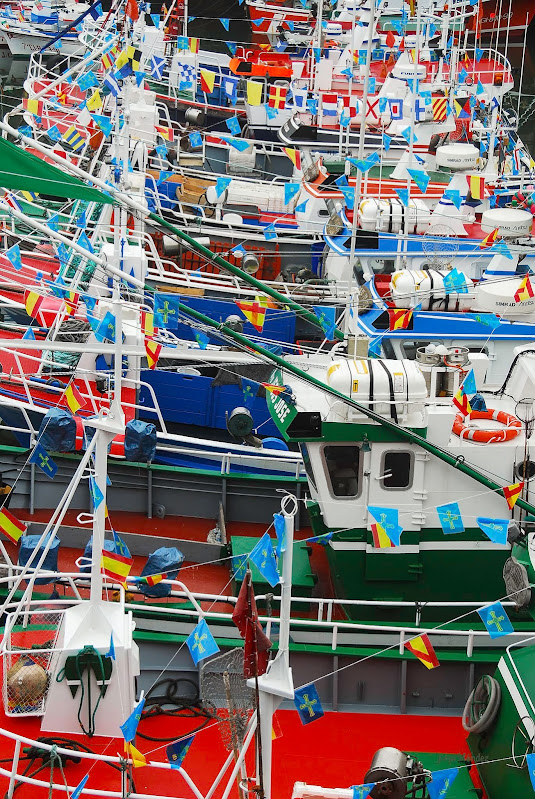 Barcos pesqueros en Puerto de Vega engalanados para las fiestas de las Telayas