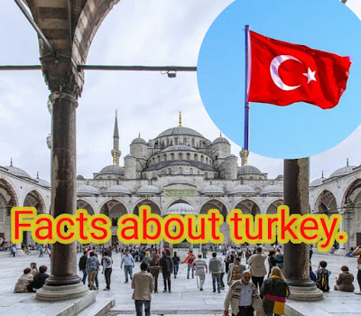 Interesting facts about turkey facts in Hindi, तुर्की के बारे में तथ्य , turkey facts in hindi, taj mahal history in hindi, taj mahal amazing facts