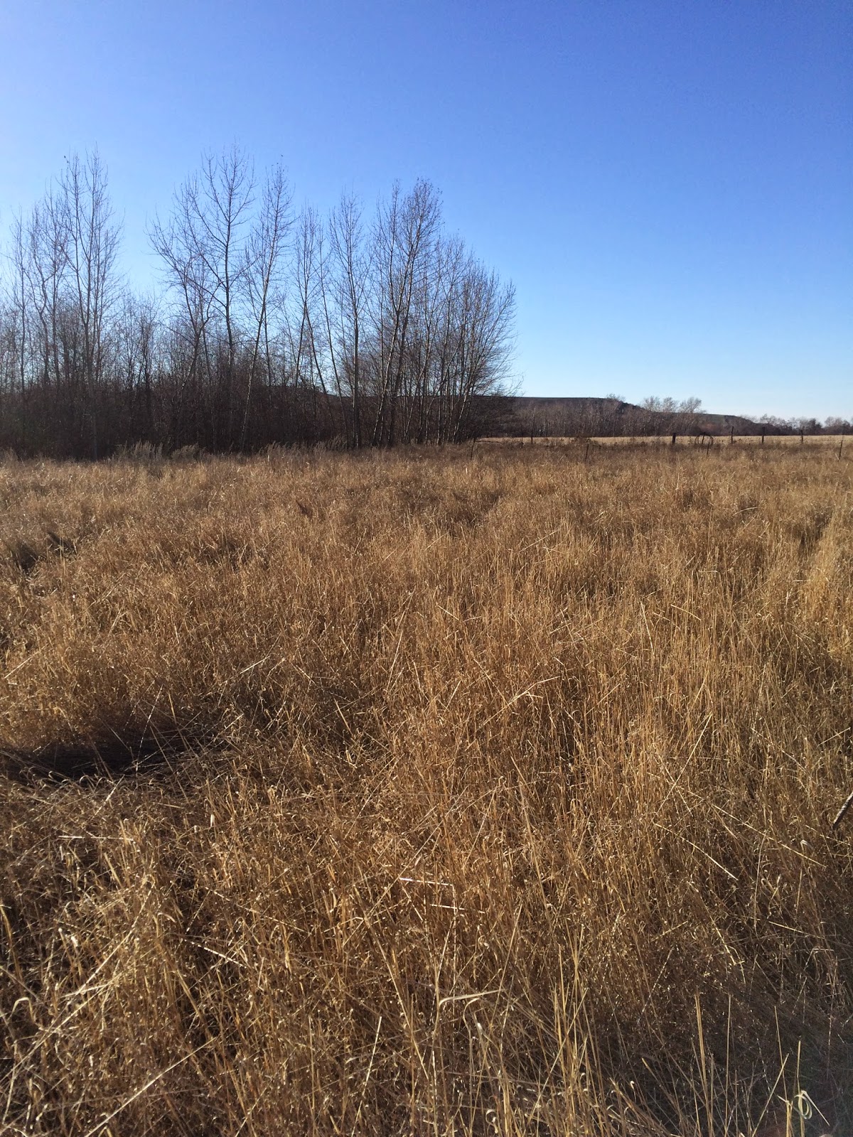 The Pemberton's Mill Creek Property!