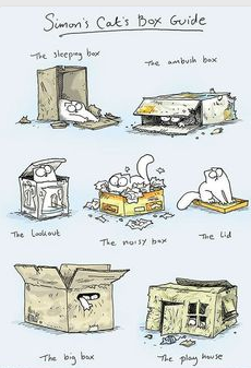 simon's cat box