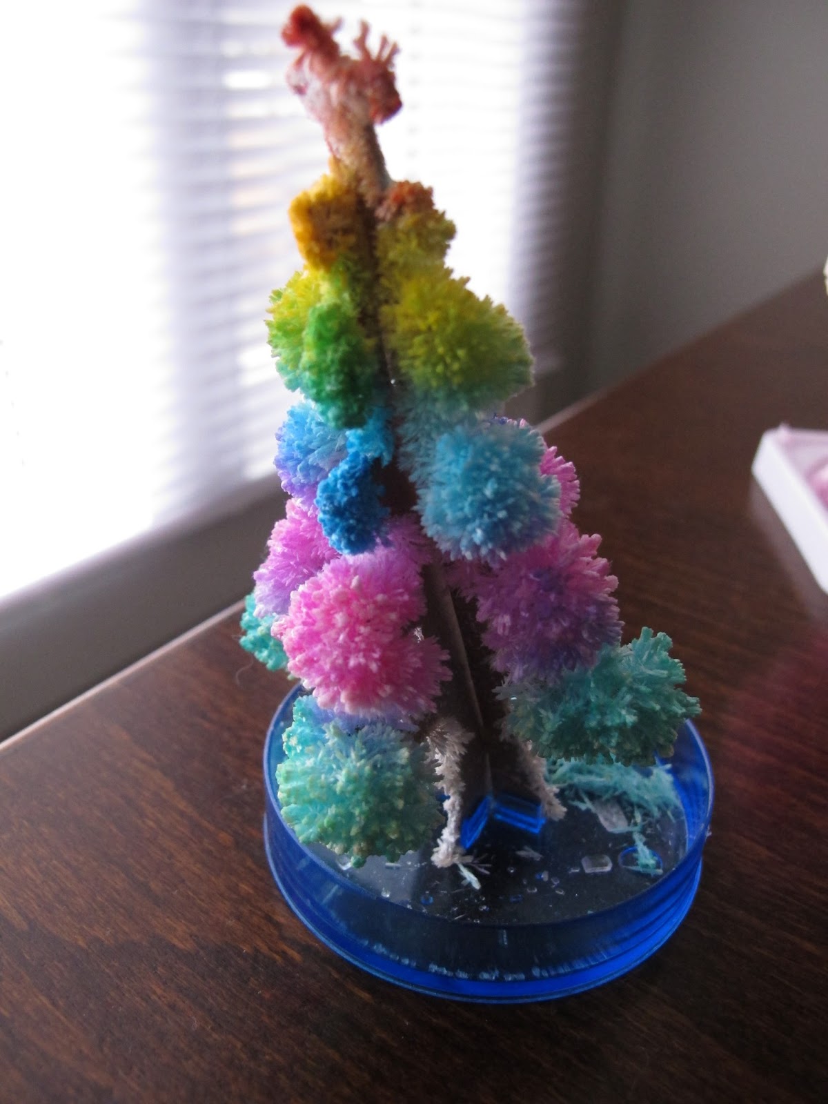 Chubby, Chub, Chub.... Crystal Growing Mystical Tree Experiment