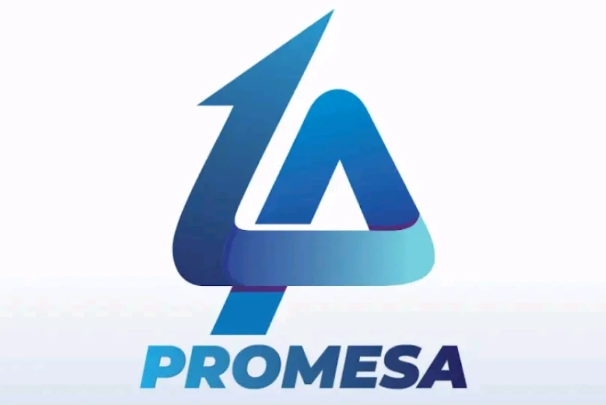 Promesa Loan App