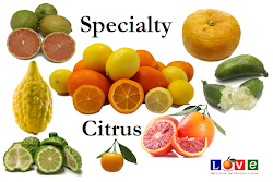 Specialty Citrus