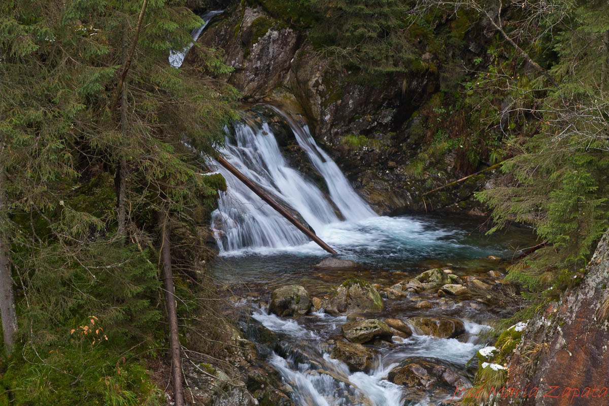 CUADERNO DE UN NATURALISTA: VIAJES DE NATURALEZA