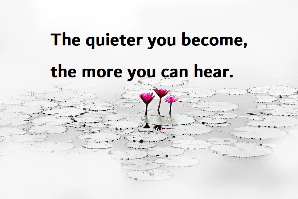 Quotes About Being Quiet And Observing Quotes About Being Quiet And Observing | Motivational Quotes