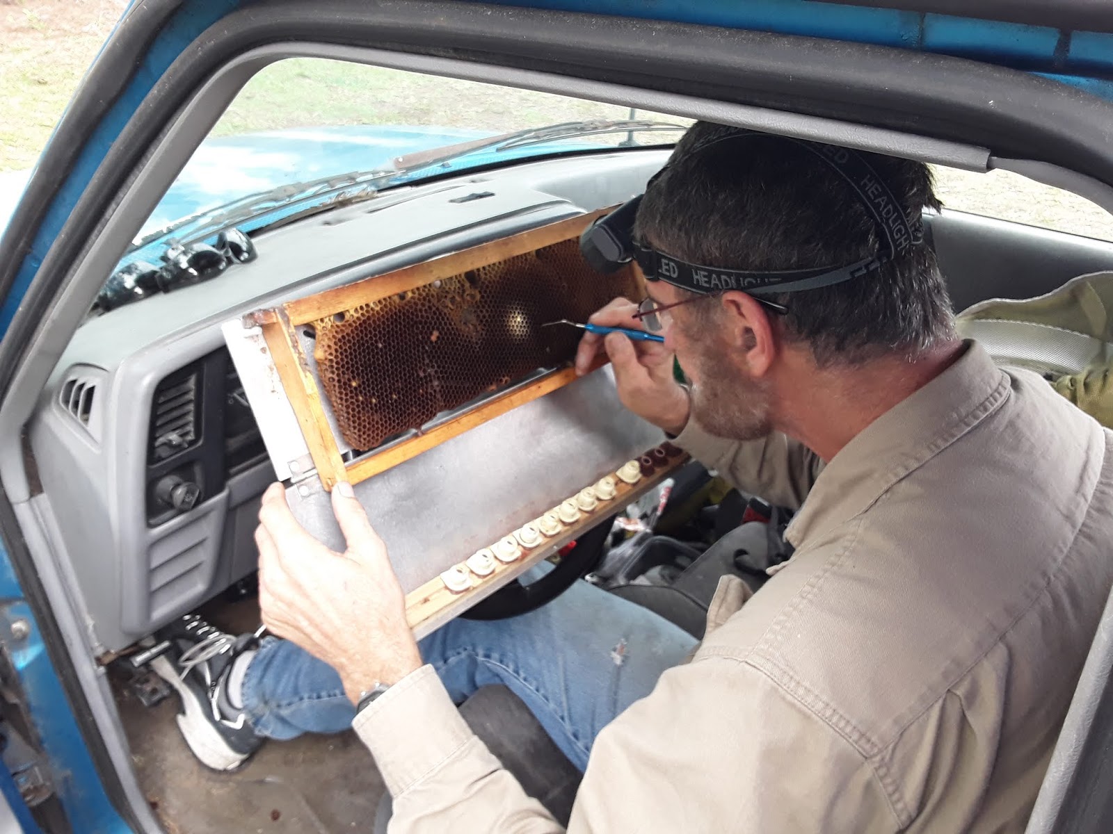 10 Cool Craft Gadgets Every Silhouette Crafter Needs But Didn T