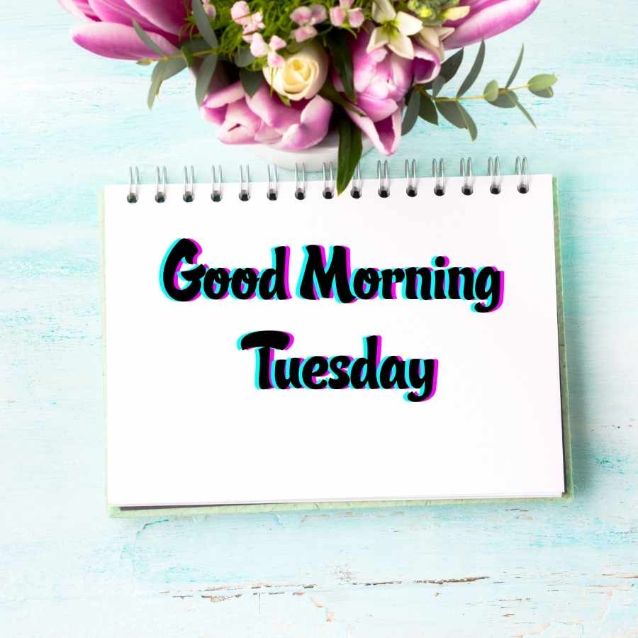 happy tuesday pictures
