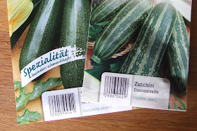Unterwegs im Garten: Zucchini pflanzen. Eine einfache Anleitung vom Sähen der Samen bis zur Anzucht im topf.