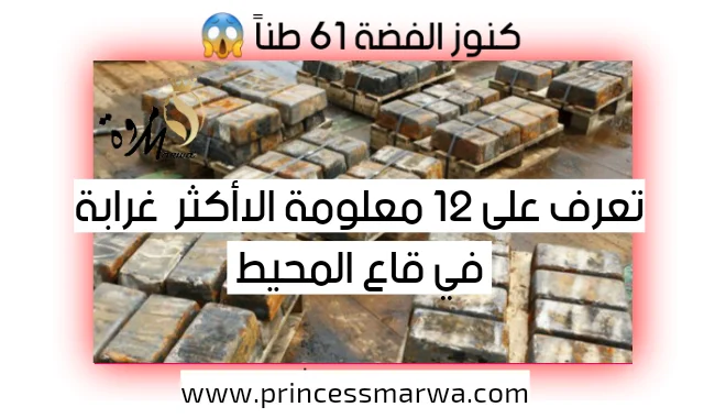هل تتوقع أن هذه الأشياء قد وجدت تحت الماء؟ | أكثر الأشياء غرابة في قاع المحيط هل تتوقع أن هذه الأشياء قد وجدت تحت الماء؟ | أكثر الأشياء غرابة في قاع المحيط