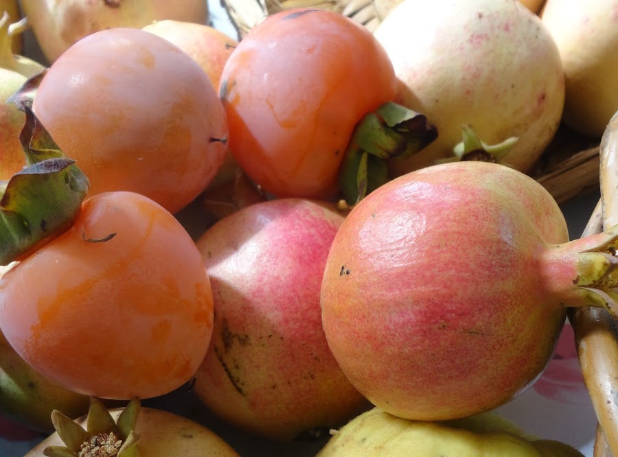 COSECHAS DE CAQUIS Y GRANADAS