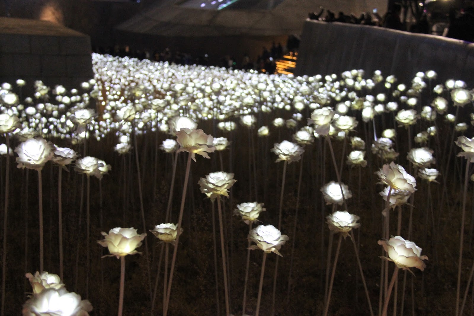 Korea Trip Day 5 (Part 2) N Seoul Tower & LED Rose Garden at