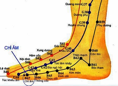Vị trí huyệt chí âm