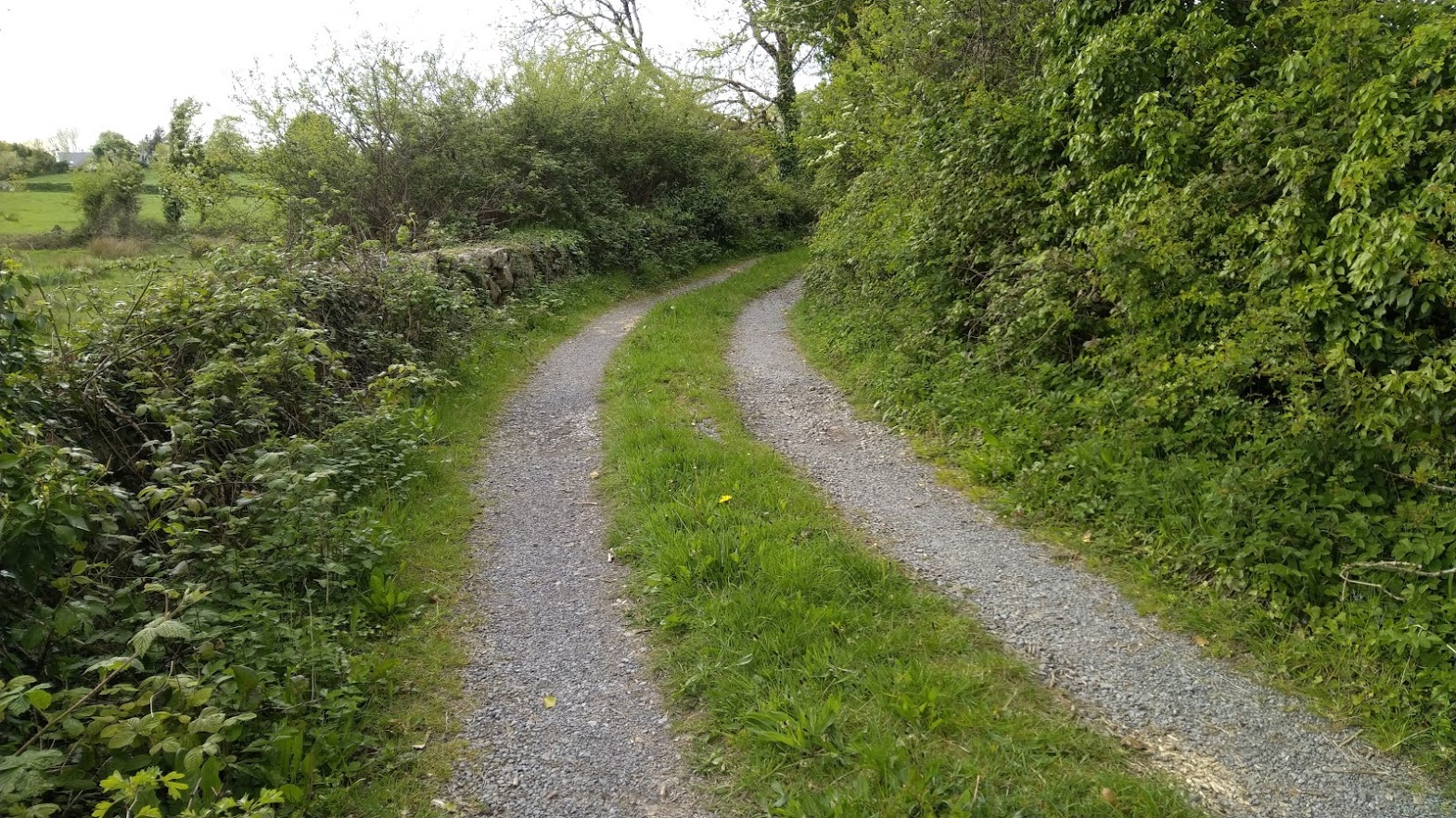 Walking Tours of Galway Galway Walks Folklore, Haunted and History Tours with Brian Nolan