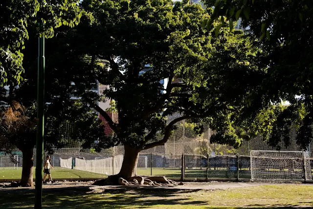 Joven caminando en el parque