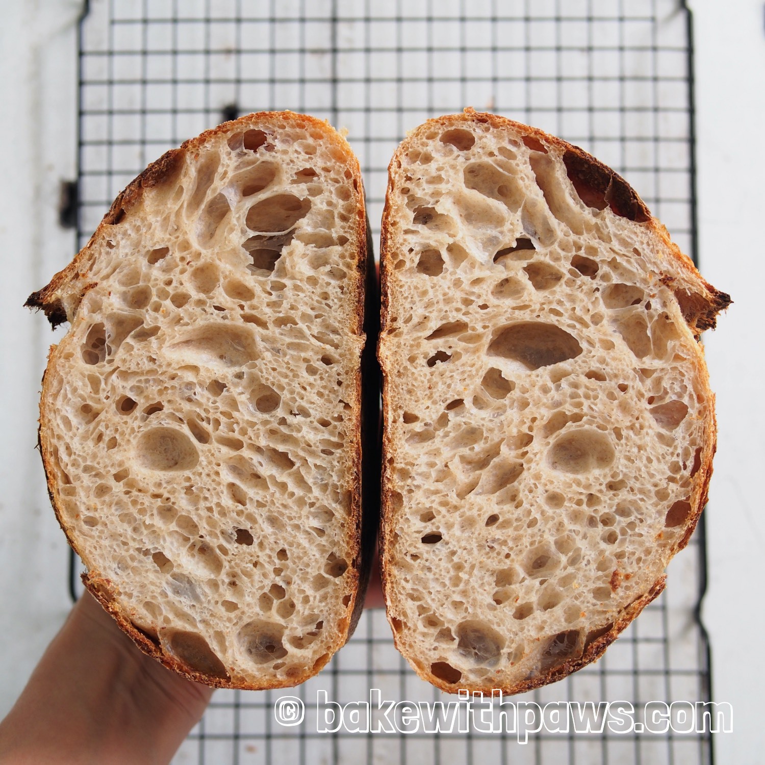Basic Open Crumb Sourdough Bread (High Hydration) BAKE WITH PAWS