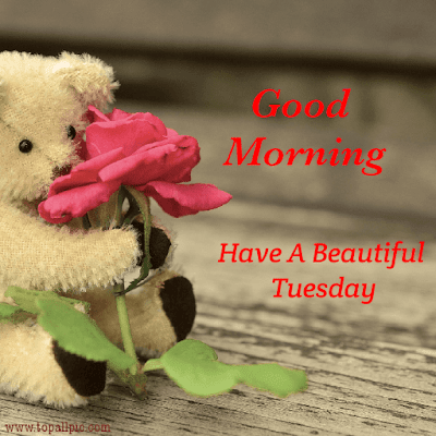 good morning tuesday images good morning tuesday images
